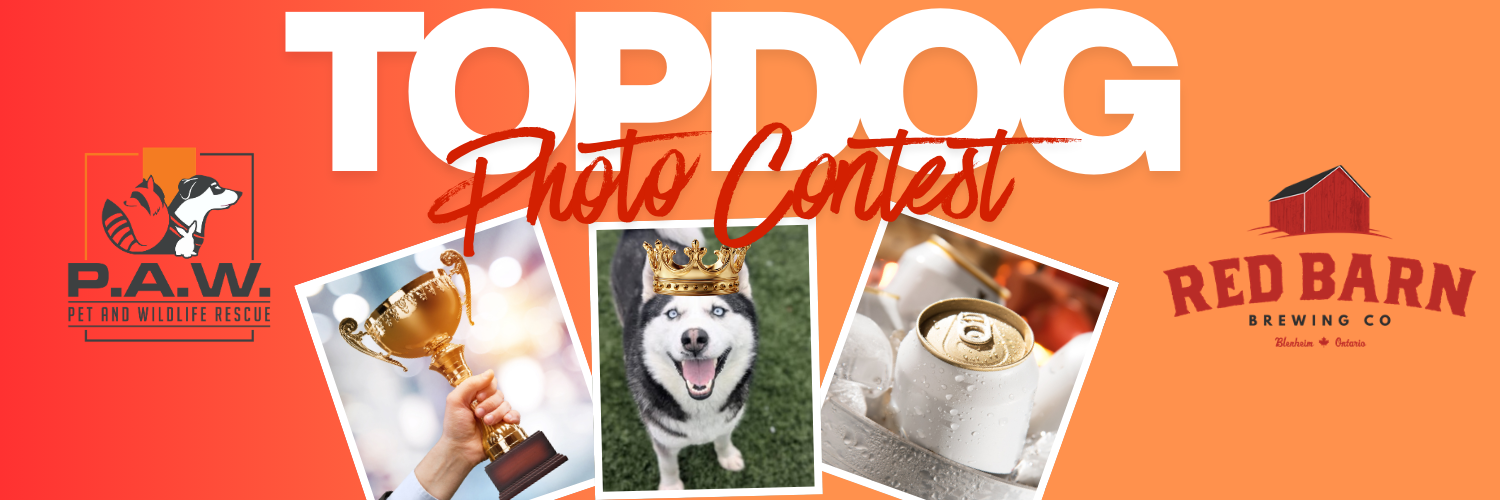 Banner for Red Barn Top Dog Photo Contest