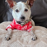 Entry image for Leroy