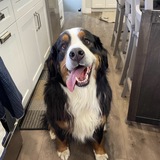 Entry image for Quinn