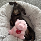 Entry image for Lilah