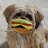 Entry image for Buddy