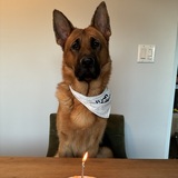 Entry image for Bauer