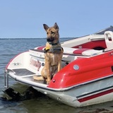 Entry image for Lucy