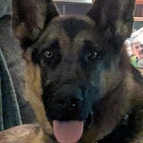 Entry image for Winnie
