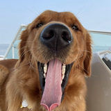 Entry image for Baylee