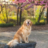 Entry image for Miss Mae