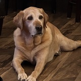 Entry image for Jake