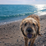 Entry image for Mac