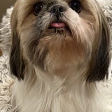 Entry image for Ella