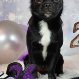 Entry image for Gary