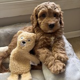 Entry image for Ernie