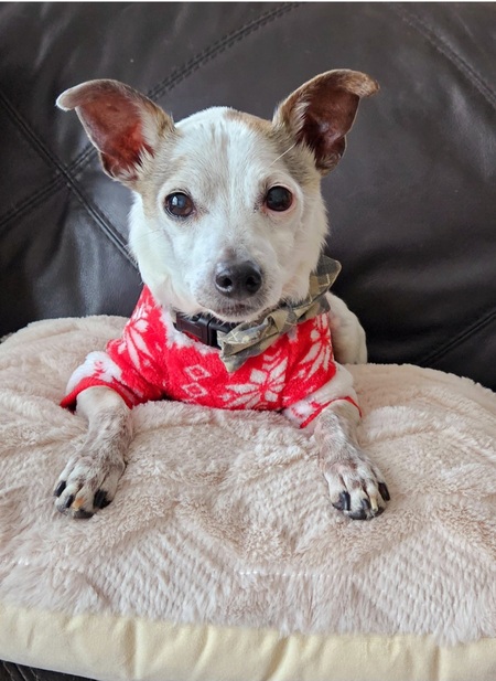 Entry image for Leroy. Clicking this image will show a larger photo