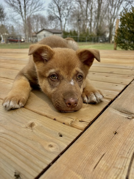 Entry image for Colby. Clicking this image will show a larger photo