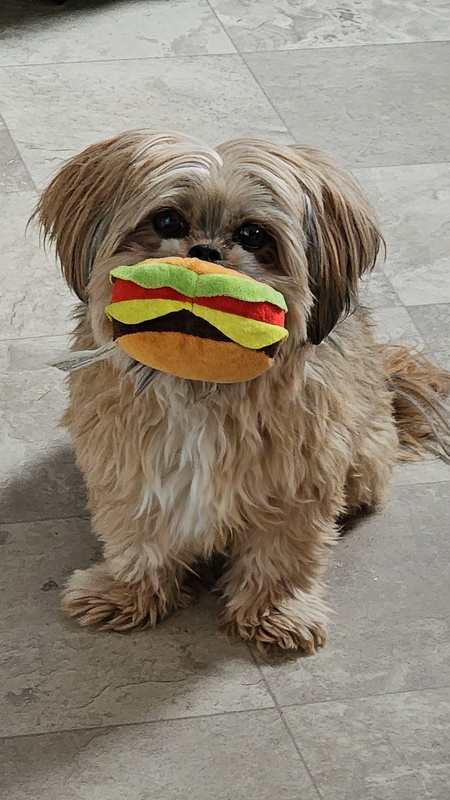 Entry image for Buddy. Clicking this image will show a larger photo