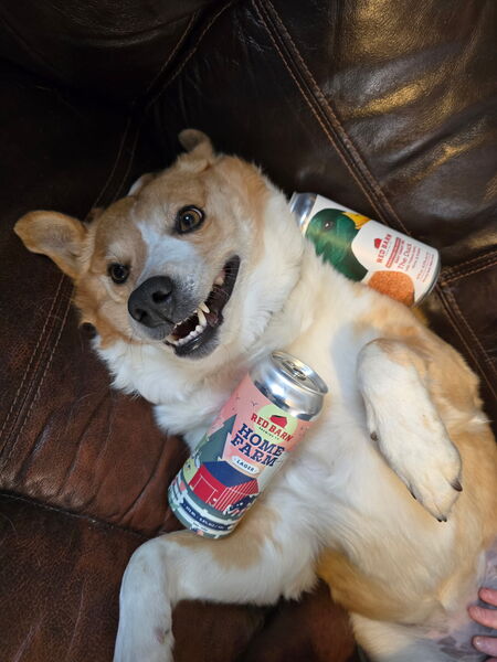Entry image for Charlie Middle name "good time". Clicking this image will show a larger photo