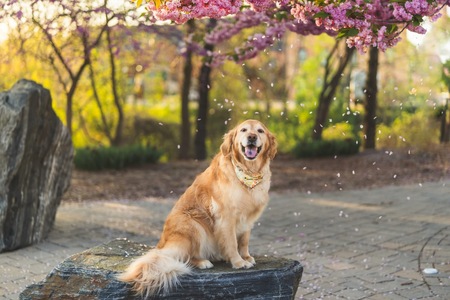 Entry image for Miss Mae. Clicking this image will show a larger photo