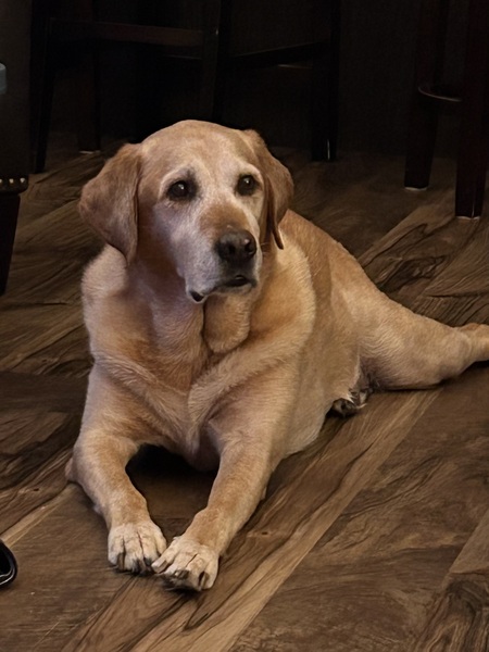 Entry image for Jake. Clicking this image will show a larger photo