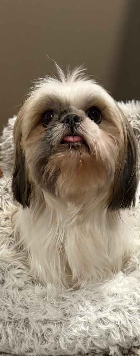 Entry image for Ella. Clicking this image will show a larger photo