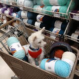 Entry image for Sampson Tobias Goettl