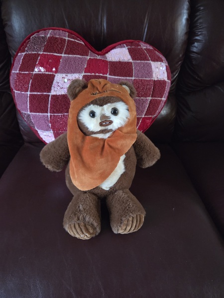 Entry image for Mr. Ewok . Clicking this image will show a larger photo