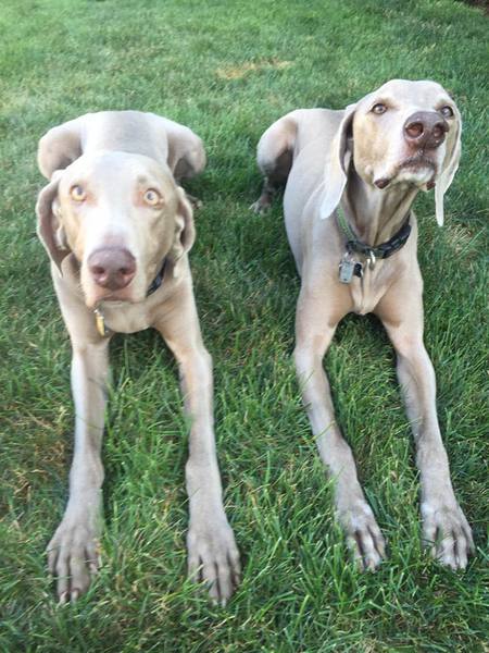 Cinnamon & Joe