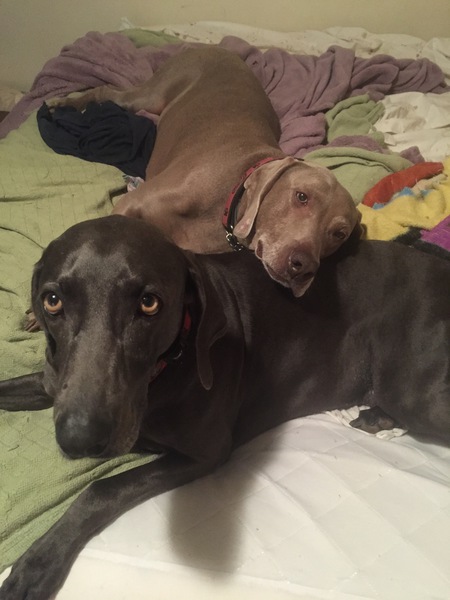 Gabby and Louise