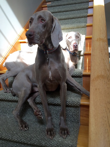 Betty and Barney