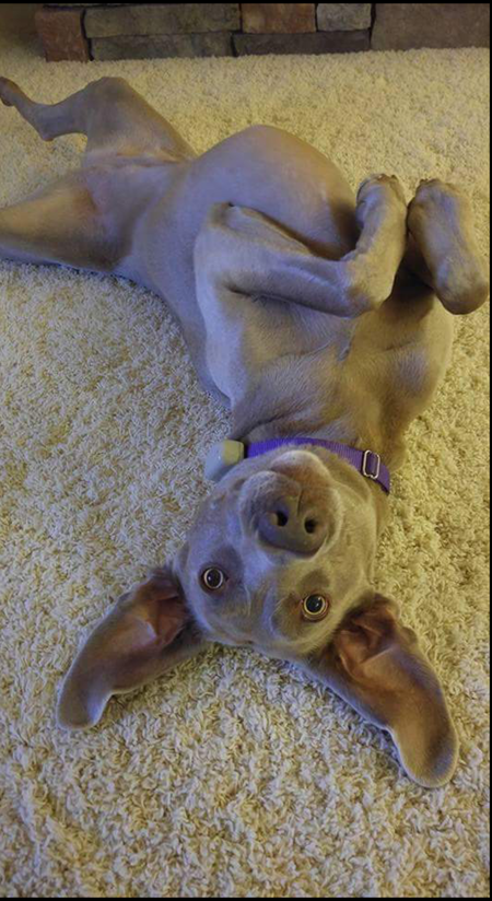 Maya