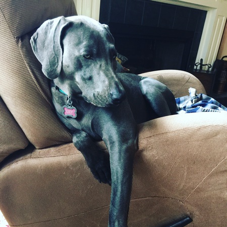 Lily Belle