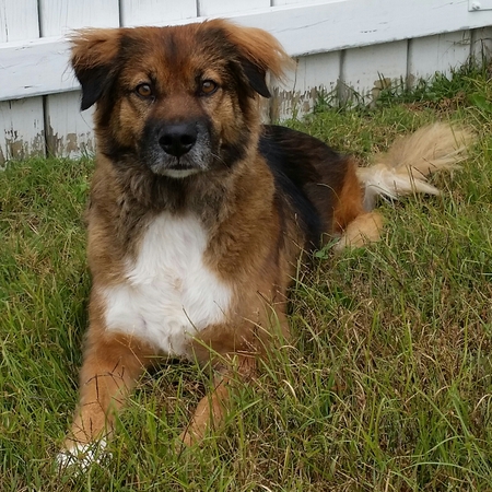Ernie