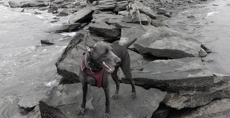 Nora and Rookie