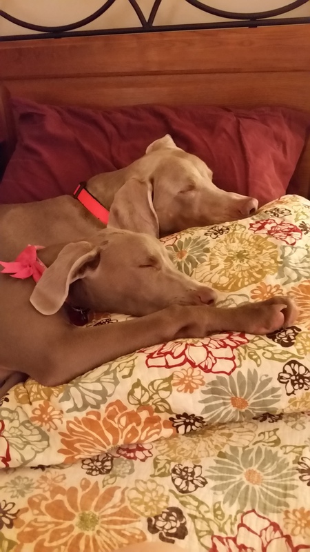 Gunner and Mallory
