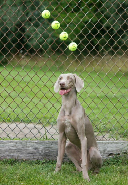 Otis 