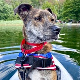 Entry image for Atlas