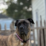 Entry image for Delilah