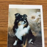 Entry image for Dakota