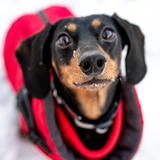 Entry image for Maddie