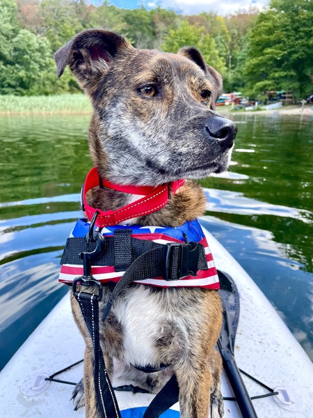 Entry image for Atlas. Clicking this image will show a larger photo