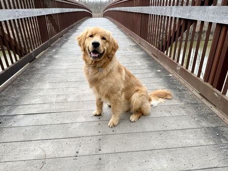 Entry image for Ted. Clicking this image will show a larger photo