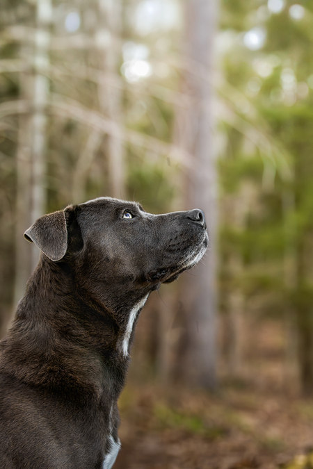 Entry image for Cole. Clicking this image will show a larger photo