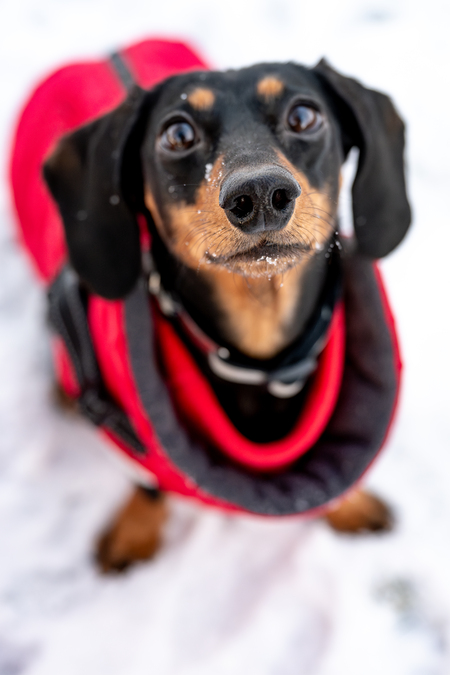 Entry image for Maddie. Clicking this image will show a larger photo
