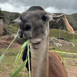 Entry image for Just A Little Snack