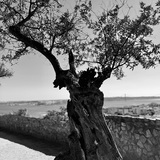 Entry image for Freeze