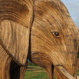 Entry image for Ganesha