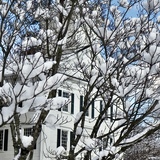 Entry image for Snowpuffs