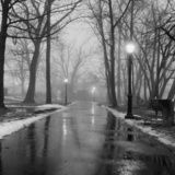 Entry image for Rainy Park