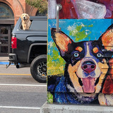 Entry image for Bozeman Montana Dogs
