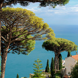 Entry image for Edge of Paradise