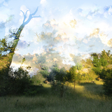 Entry image for Savanna Sunrise
