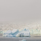 Entry image for Morning Fog